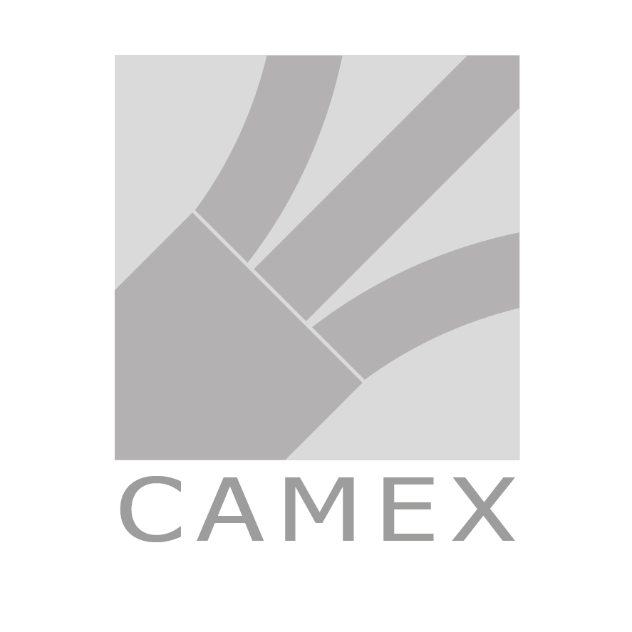 CAMEX