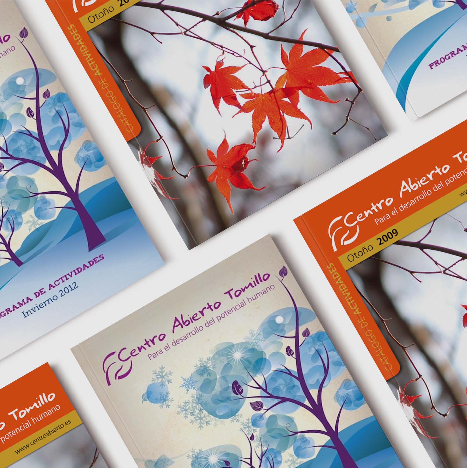 galeria Catálogo de actividades