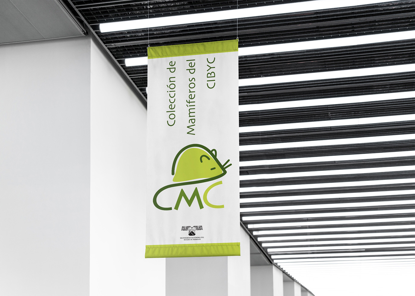 galeria Colección de mamíferos